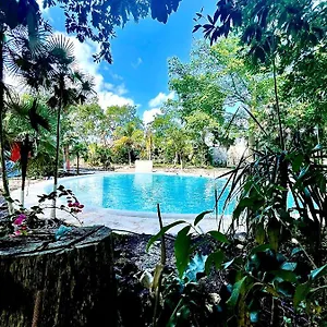 Hotel Tequila